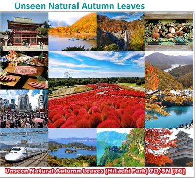 ใหม่! ทัวร์ญี่ปุ่น Autumn...ชมใบไม้เปลี่ยนสีในญี่ปุ่น ..ที่ไม่เหมือนใคร..